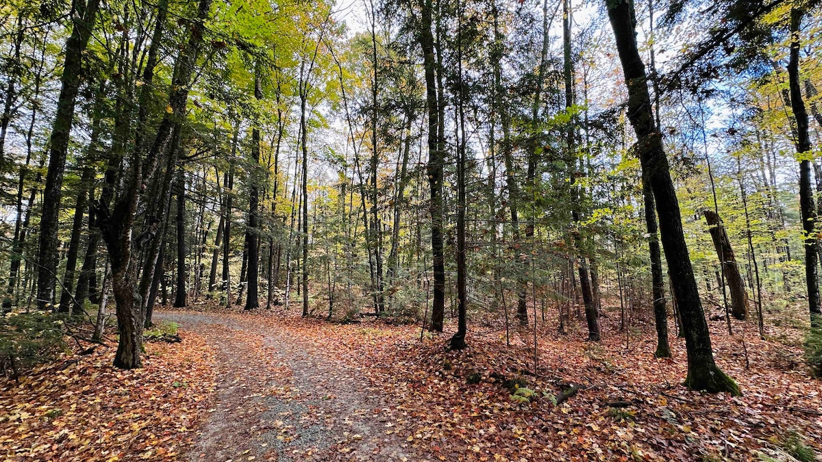 Outdoor seating area